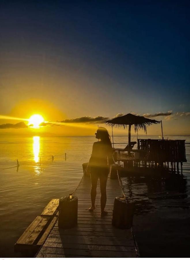 Victoria S Beach House And Snorkeling Center Flowers Bay Buitenkant foto