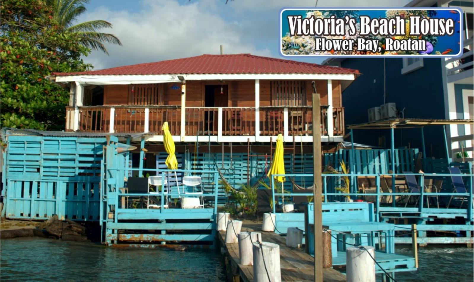 Victoria S Beach House And Snorkeling Center Flowers Bay Buitenkant foto